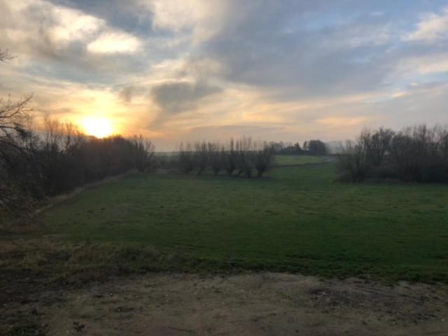Reetidyll Am Haff Vila Pepelow Exterior foto